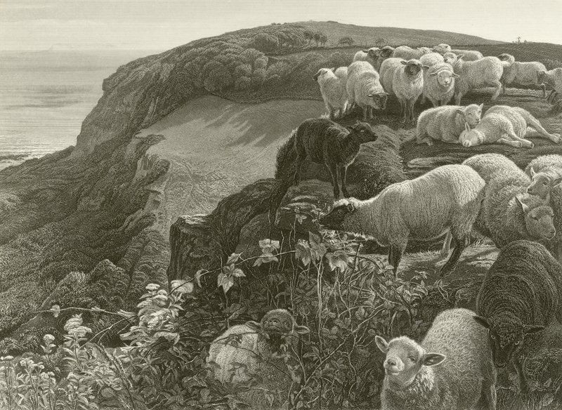 På sluttningen (gravyr) av William Holman Hunt