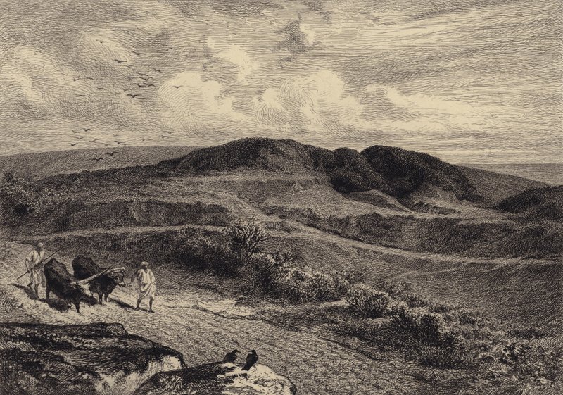 Liknelsen om såmannen av after Albert Robida