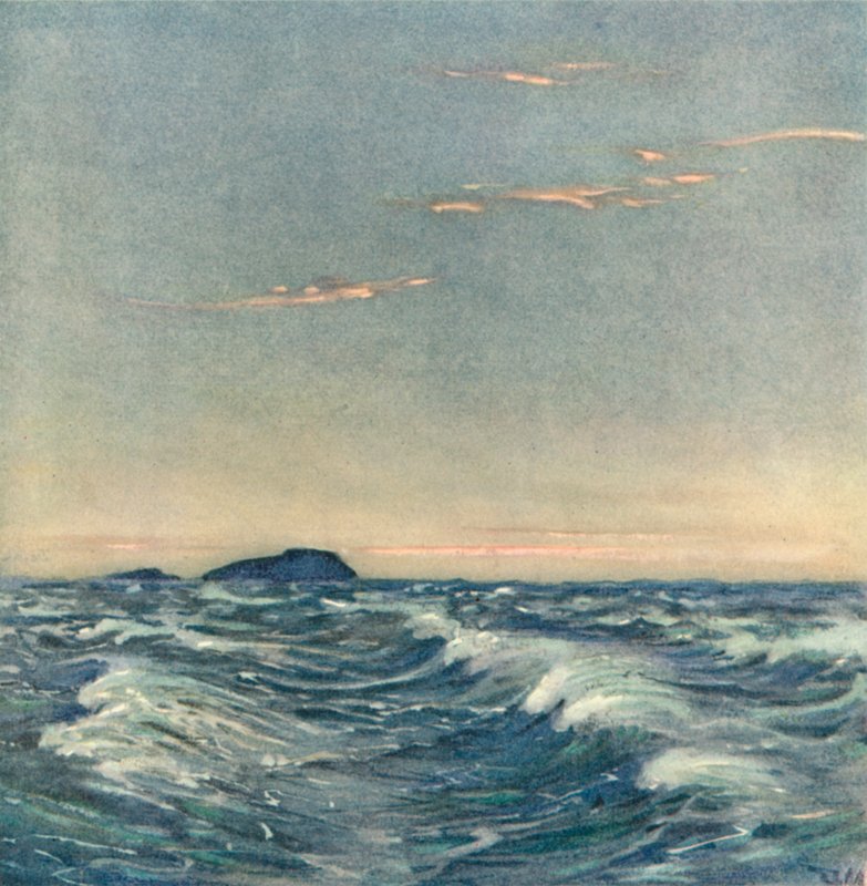 Vita hästar av after Donald Maxwell