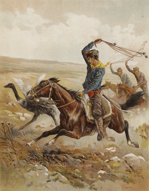 Jaga strutsen, Sydamerika (chromolitho) av after Frank Feller