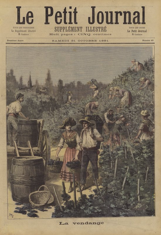 Druvskörden av after Henri Meyer