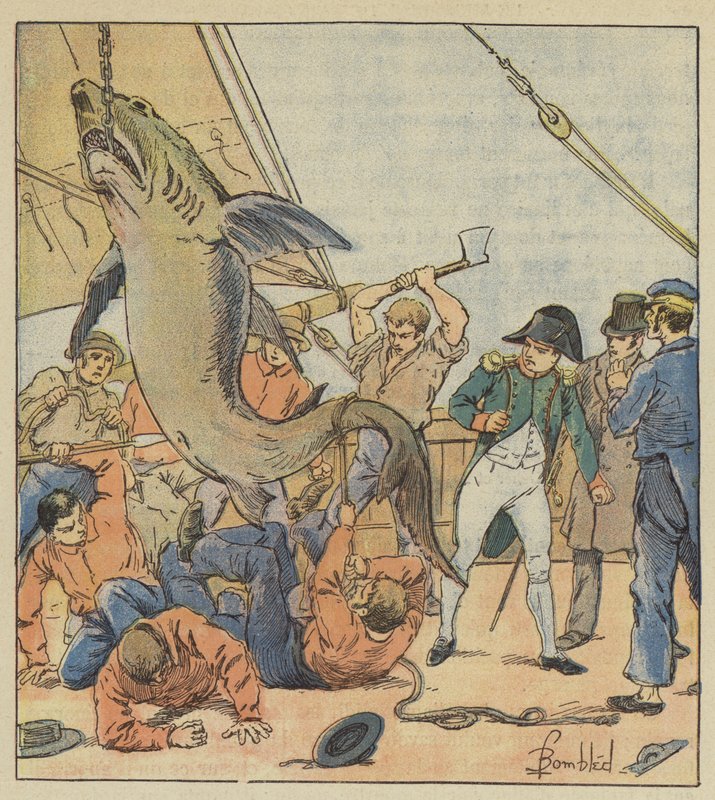 Att fånga en haj av after Louis Charles Bombled