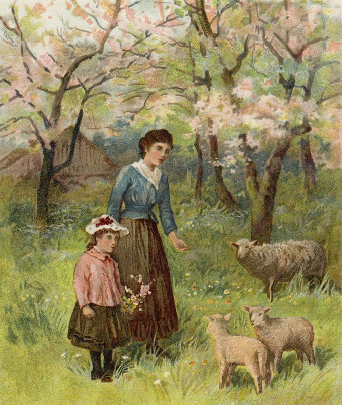 Äppelblommor av after William Henry James Boot