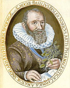 Basilius Besler